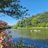 Littlemere Lake District Lodges