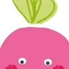 Radish Loves