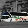 Ellisons Coaches