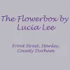 The Flower Box by Lucia Lee