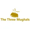 Three Mughals