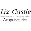 Liz Castle