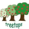 Treetops Childcare