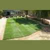 Ashland Turf