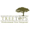 Treetops Tree Surgeons