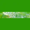 Rainbow Clearances