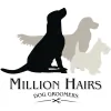Million Hairs