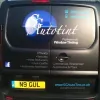 SG Auto Tint