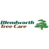 Blendworth Tree Surgeons