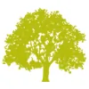 Landers Accountants