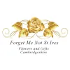Forget Me Not St Ives