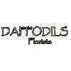Daffodils Florist