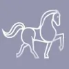 Sylvia Kerr Jewellery