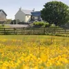 Vose Farm Holiday Cottages