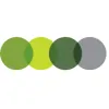 A R L Consulting