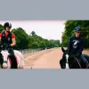 Hyde Park Stables
