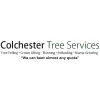 Colchester Tree Services