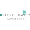 Oopsie Daisy Flowers