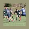 Hawick Rugby Football Club