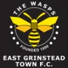 East Grinstead Town FC