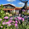 Williamsons My Florist