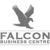 Falcon Business Centre
