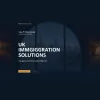 Visa Professionals