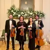 Niche London String Quartet