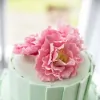 Emily Rose Cakes