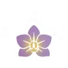 Ruan Orchid