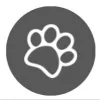 Walkies Pet Care Services