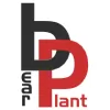 Bear Plant