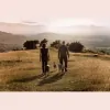 Our Dog Walkers