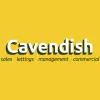 Cavendish