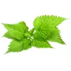Nettles Grooming