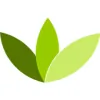 Mindset Clinical Hypnotherapy & BWRT