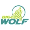 Big Wolf Marketing