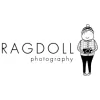 Ragdoll Photography