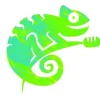 Chameleon Music Marketing