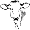 The Brown Cow