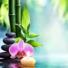 Tremarie Therapies