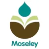 Moseley Primary School