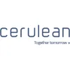 Cerulean Solutions