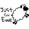 Just For Ewe Coniston