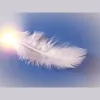 Absolute Holistic Guidance