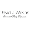David J Wilkins