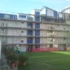 Apex Scaffolding Services