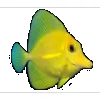 1st Call Aquatics