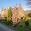 Wern Fawr Manor Farm