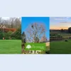The Tree Company Sussex